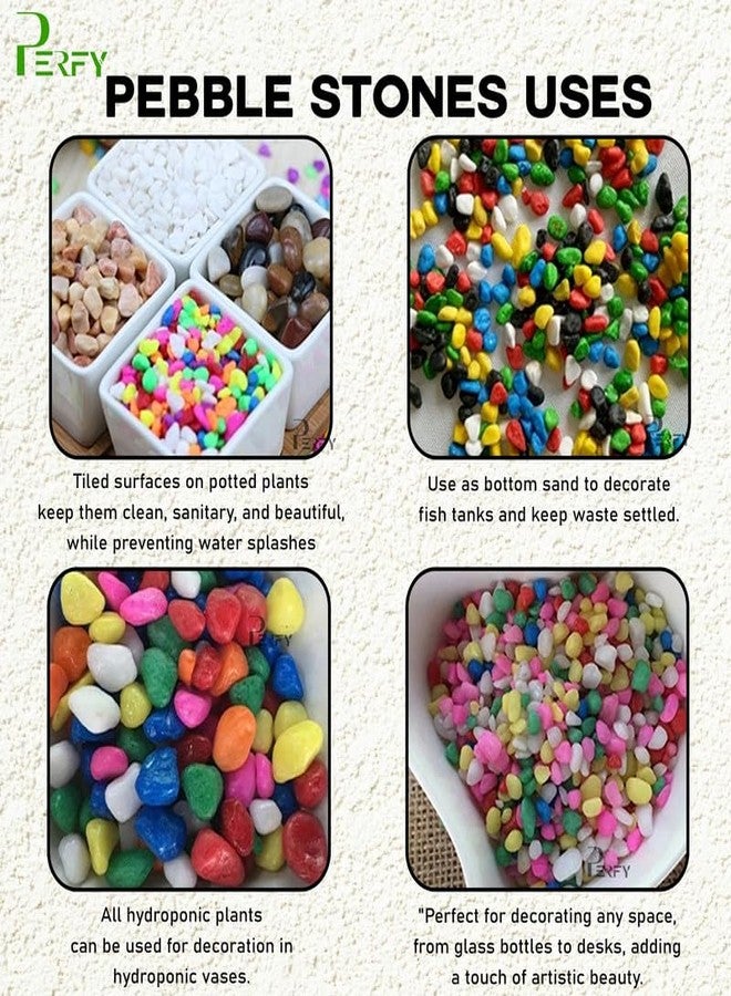 Perfy Multicolor Decorative Stones -1KG Multi-Purpose Pebble Stone for Aquarium, Art & Craft,Vase Fillers, Home Garden - Image 5